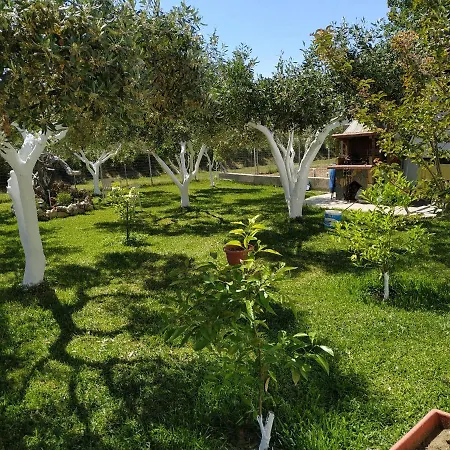 Amarantos Beautiful Garden House *