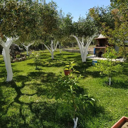 Amarantos Beautiful Garden House *